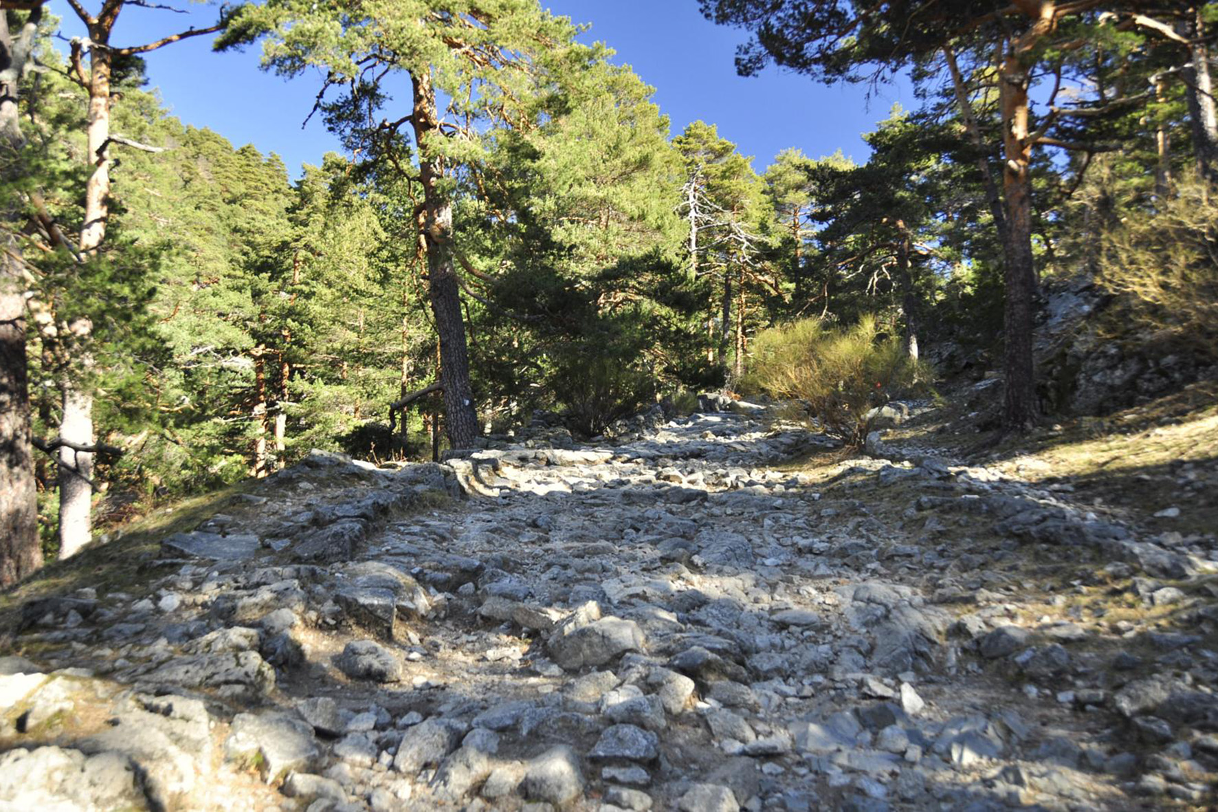 Calzada romana de cercedilla (Madrid)