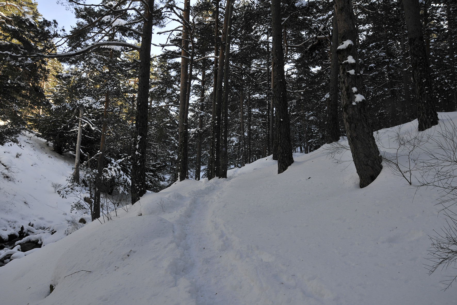 Rutas en la nieve en Cercedilla (Madrid)